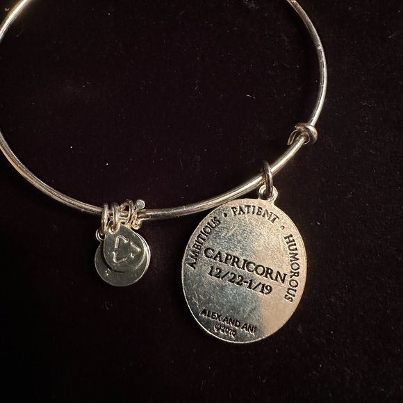 Alex & Ani bracelet - Picture 2 of 2